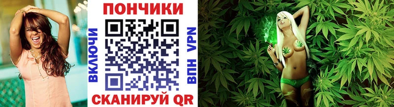Купить где  Стародуб  МАРИХУАНА семена 